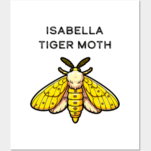 Isabella Tiger Moth Posters and Art